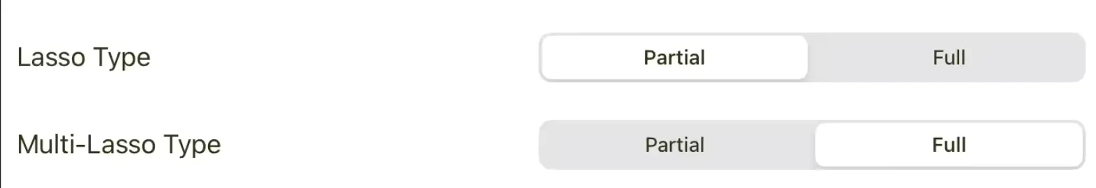 Lasso settings showing Partial and Full selection options